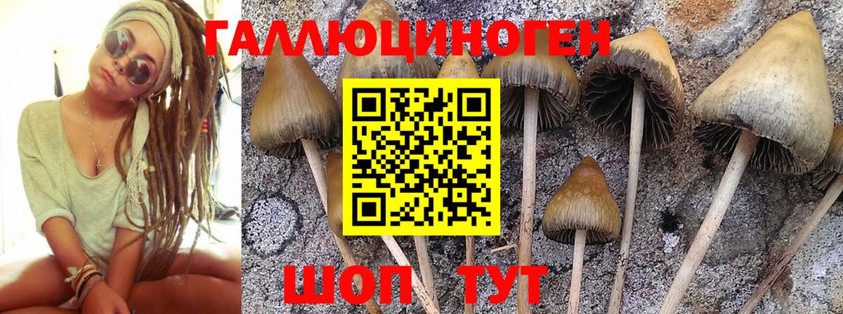 Псилоцибиновые грибы мухоморы  Псилоцибиновые грибы мухоморы  Вход с VPN  Коряжма 